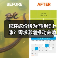 银环蛇价格为何持续上涨?需求激增推动养殖热潮(图4) 银环蛇价格为何持续上涨?需求激增推动养殖热潮(图4)