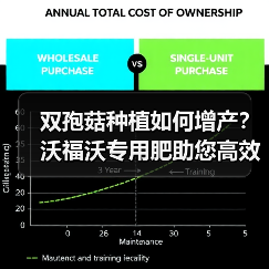 双孢菇种植如何增产？沃福沃专用肥助您高效管理（图1）