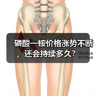 磷酸一铵价格涨势不断,还会持续多久?(图4) 磷酸一铵价格涨势不断,还会持续多久?(图4)