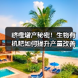 脐橙增产秘密!生物有机肥如何提升产量改善土壤(图3) 脐橙增产秘密!生物有机肥如何提升产量改善土壤(图3)