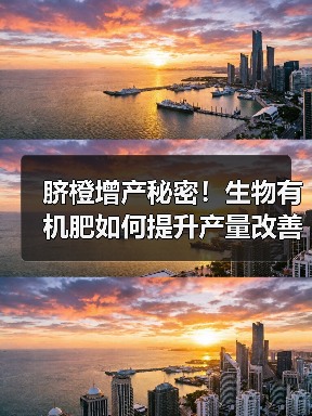 脐橙增产秘密!生物有机肥如何提升产量改善土壤(图2) 脐橙增产秘密!生物有机肥如何提升产量改善土壤(图2)