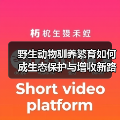 果子狸养殖前景如何?高利润背后的风险与机遇-辰飞雨绿源新宇生 果子狸养殖前景如何?高利润背后的风险与机遇-辰飞雨绿源新宇生