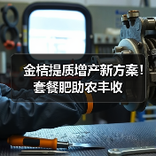 金桔提质增产新方案!套餐肥助农丰收(图3) 金桔提质增产新方案!套餐肥助农丰收(图3)