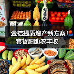 金桔提质增产新方案!套餐肥助农丰收(图4) 金桔提质增产新方案!套餐肥助农丰收(图4)