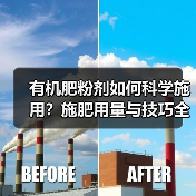 有机肥粉剂如何科学施用?施肥用量与技巧全解析(图2) 有机肥粉剂如何科学施用?施肥用量与技巧全解析(图2)