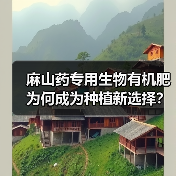 麻山药专用生物有机肥为何成为种植新选择？（图3）
