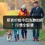 尿素价格今日涨跌如何?行情全解读(图1) 尿素价格今日涨跌如何?行情全解读(图1)