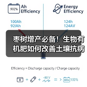 枣树增产必备！生物有机肥如何改善土壤抗病抗逆（图3）