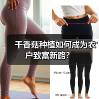 干香菇种植如何成为农户致富新路? 干香菇种植如何成为农户致富新路?
