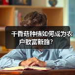 干香菇种植如何成为农户致富新路?(图2) 干香菇种植如何成为农户致富新路?(图2)