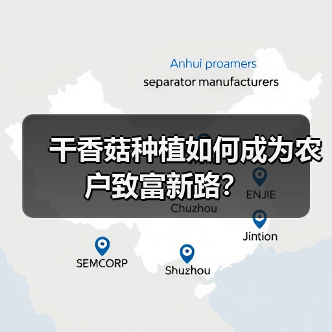 干香菇种植如何成为农户致富新路?(图4) 干香菇种植如何成为农户致富新路?(图4)