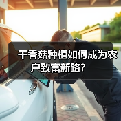 干香菇种植如何成为农户致富新路?(图3) 干香菇种植如何成为农户致富新路?(图3)