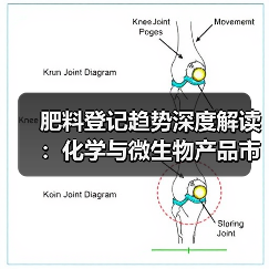 肥料登记趋势深度解读:化学与微生物产品市场分析(图4) 肥料登记趋势深度解读:化学与微生物产品市场分析(图4)