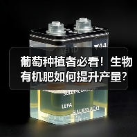 葡萄种植者必看！生物有机肥如何提升产量？（图1）