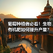 葡萄种植者必看！生物有机肥如何提升产量？（图2）