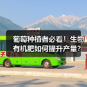 葡萄种植者必看！生物有机肥如何提升产量？（图4）