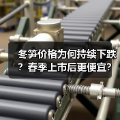冬笋价格为何持续下跌?春季上市后更便宜?(图4) 冬笋价格为何持续下跌?春季上市后更便宜?(图4)