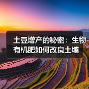 土豆增产的秘密:生物有机肥如何改良土壤(图2) 土豆增产的秘密:生物有机肥如何改良土壤(图2)