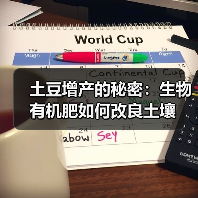 土豆增产的秘密:生物有机肥如何改良土壤(图3) 土豆增产的秘密:生物有机肥如何改良土壤(图3)