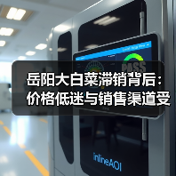 岳阳大白菜滞销背后:价格低迷与销售渠道受阻(图2) 岳阳大白菜滞销背后:价格低迷与销售渠道受阻(图2)