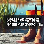 猕猴桃种植增产神器!生物有机肥如何改土提效?(图4) 猕猴桃种植增产神器!生物有机肥如何改土提效?(图4)
