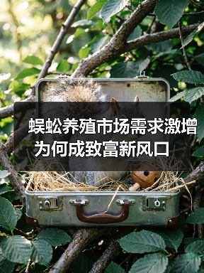 蜈蚣养殖市场需求激增 为何成致富新风口(图4) 蜈蚣养殖市场需求激增 为何成致富新风口(图4)