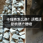干鸡粪怎么选?沃福沃助农增产增收(图1) 干鸡粪怎么选?沃福沃助农增产增收(图1)