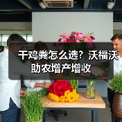 干鸡粪怎么选?沃福沃助农增产增收(图3) 干鸡粪怎么选?沃福沃助农增产增收(图3)