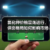 氯化钾价格震荡运行，供需格局如何影响市场走势？（图4）