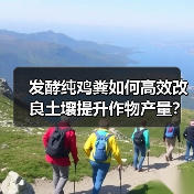 发酵纯鸡粪如何高效改良土壤提升作物产量?(图2) 发酵纯鸡粪如何高效改良土壤提升作物产量?(图2)