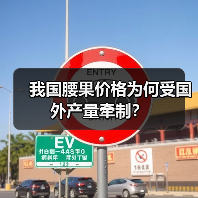 我国腰果价格为何受国外产量牵制?(图4) 我国腰果价格为何受国外产量牵制?(图4)