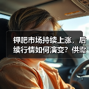 钾肥市场持续上涨,后续行情如何演变?供需及大合同谈判成关键(图3) 钾肥市场持续上涨,后续行情如何演变?供需及大合同谈判成关键(图3)