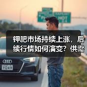 钾肥市场持续上涨,后续行情如何演变?供需及大合同谈判成关键(图4) 钾肥市场持续上涨,后续行情如何演变?供需及大合同谈判成关键(图4)