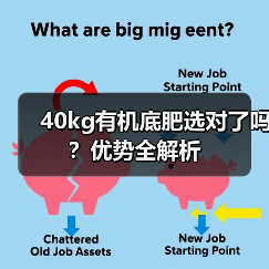 40kg有机底肥选对了吗?优势全解析(图3) 40kg有机底肥选对了吗?优势全解析(图3)