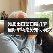 氮肥出口窗口期缩窄,国际市场走势如何演变?(图3) 氮肥出口窗口期缩窄,国际市场走势如何演变?(图3)