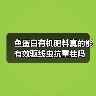 鱼蛋白有机肥料真的能有效驱线虫抗重茬吗(图2) 鱼蛋白有机肥料真的能有效驱线虫抗重茬吗(图2)
