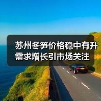 苏州冬笋价格稳中有升 需求增长引市场关注(图2) 苏州冬笋价格稳中有升 需求增长引市场关注(图2)