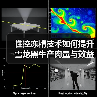 性控冻精技术如何提升雪龙黑牛产肉量与效益？（图1）