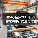 性控冻精技术如何提升雪龙黑牛产肉量与效益？（图2）