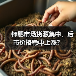 钾肥市场货源集中,后市价格稳中上涨?(图2) 钾肥市场货源集中,后市价格稳中上涨?(图2)