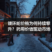 银环蛇价格为何持续攀升？药用价值驱动市场需求激增（图2）