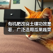 有机肥改良土壤功效显著,广泛适用瓜果蔬菜大田作物(图4) 有机肥改良土壤功效显著,广泛适用瓜果蔬菜大田作物(图4)