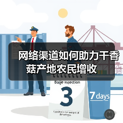 网络渠道如何助力干香菇产地农民增收(图2) 网络渠道如何助力干香菇产地农民增收(图2)