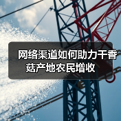 网络渠道如何助力干香菇产地农民增收(图3) 网络渠道如何助力干香菇产地农民增收(图3)