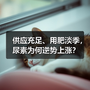 供应充足、用肥淡季,尿素为何逆势上涨?(图3) 供应充足、用肥淡季,尿素为何逆势上涨?(图3)