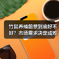 竹鼠养殖前景到底好不好?市场需求决定成败(图3) 竹鼠养殖前景到底好不好?市场需求决定成败(图3)
