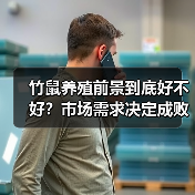 竹鼠养殖前景到底好不好?市场需求决定成败(图4) 竹鼠养殖前景到底好不好?市场需求决定成败(图4)
