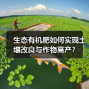 生态有机肥如何实现土壤改良与作物高产?(图2) 生态有机肥如何实现土壤改良与作物高产?(图2)