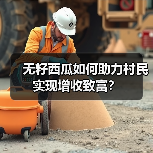 无籽西瓜如何助力村民实现增收致富?(图2) 无籽西瓜如何助力村民实现增收致富?(图2)