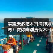 雾霾天多吃木耳清肺排毒?教你辨别真假木耳(图4) 雾霾天多吃木耳清肺排毒?教你辨别真假木耳(图4)